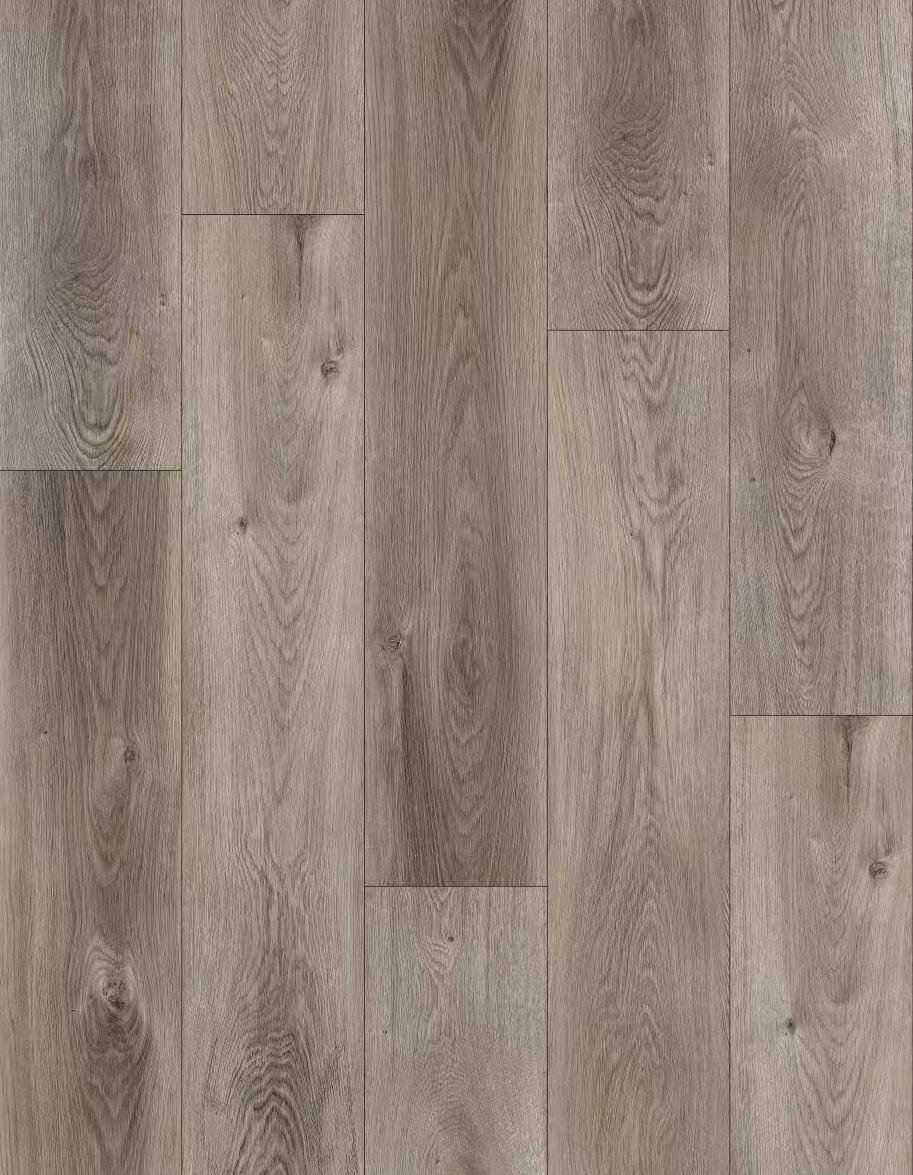 treasure lakes poudre